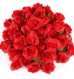 Rose rosse